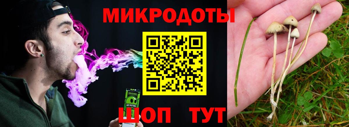 Галлюциногенные грибы Psilocybe  Псилоцибиновые грибы GOLDEN TEACHER  Шелехов  Вход с VPN 